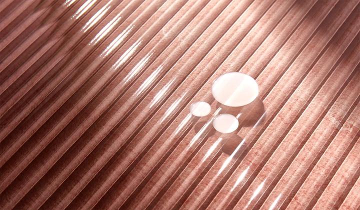 Actual product image Christophe Robin Colour Shield Shampoo with Camu Camu Berries (Liquid shampoo, 250 ml)