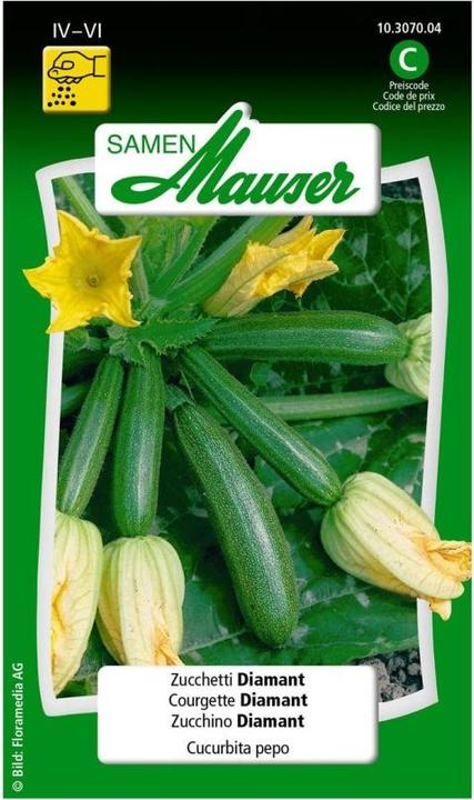 Produktbild Samen Mauser Zucchetti Diamant (Gemüsesamen)
