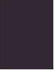 Immagine prodotto Inebrya Bionic Violet 4/2 Chestnut Violet 100ml (Viola castagna)