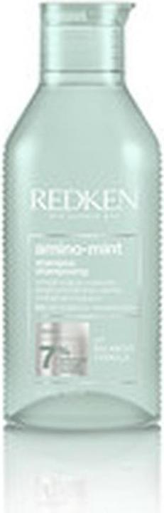 Produktbild Redken Amino Mint (300 ml, Flüssiges Shampoo)