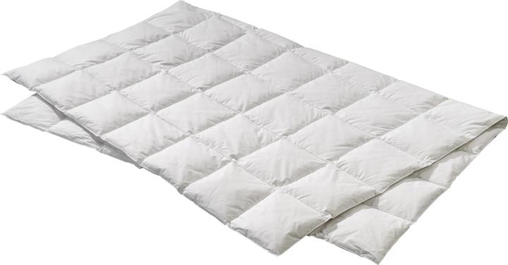 Produktbild Billerbeck Edition Elwine Light (860 g, 240 x 240 cm)