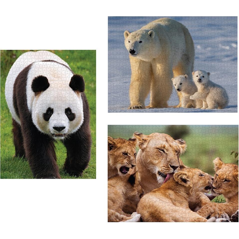 Thumbnail - Jensen Säugetiere 3x1000 Teile (1000 Teile)