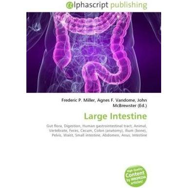 Large Intestine, Fachbücher