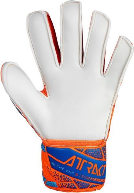 Actual product image Reusch Attrakt Solid (6)