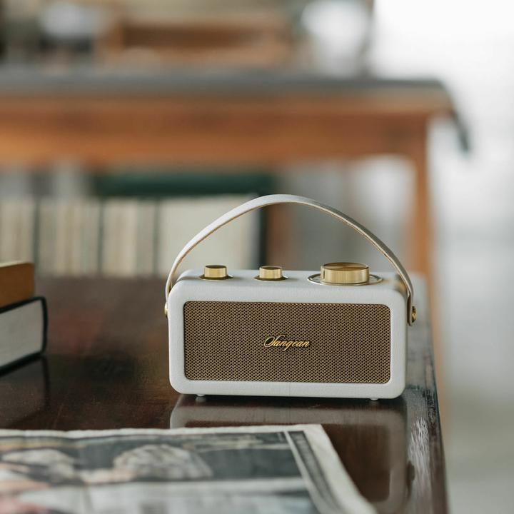 Image du produit Sangean RA-101 Radio à piles FM Bluetooth®, AUX rechargeable Ivory, Gold (FM, Bluetooth)