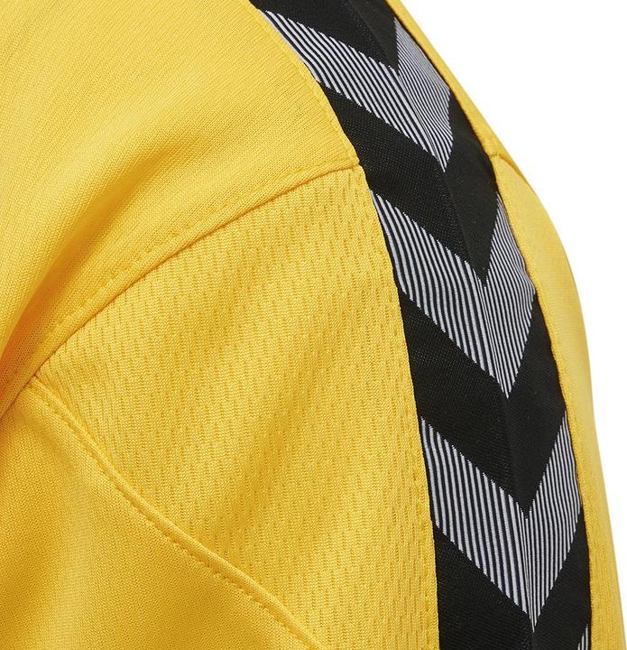 Actual product image hummel Authentic Poly Jersey L/S (M)