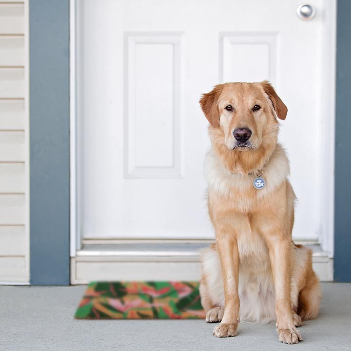 Actual product image Relaxdays coir doormat (60 x 40 x 1.5 cm)
