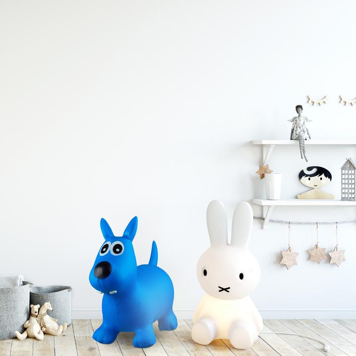 Image du produit Relaxdays Ballon sauteur Chien