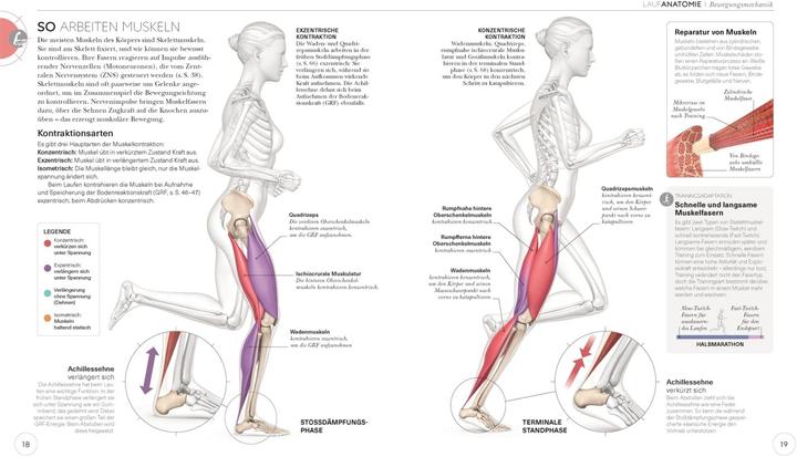 Produktbild Lauftraining – Die Anatomie verstehen (Deutsch, Chris Napier, 2020)