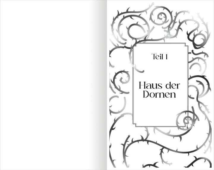 Immagine prodotto The North Wind – Reich aus Eis und Schatten (The Four Winds 1) (Tedesco, Alessandria, Warwick, 2025)