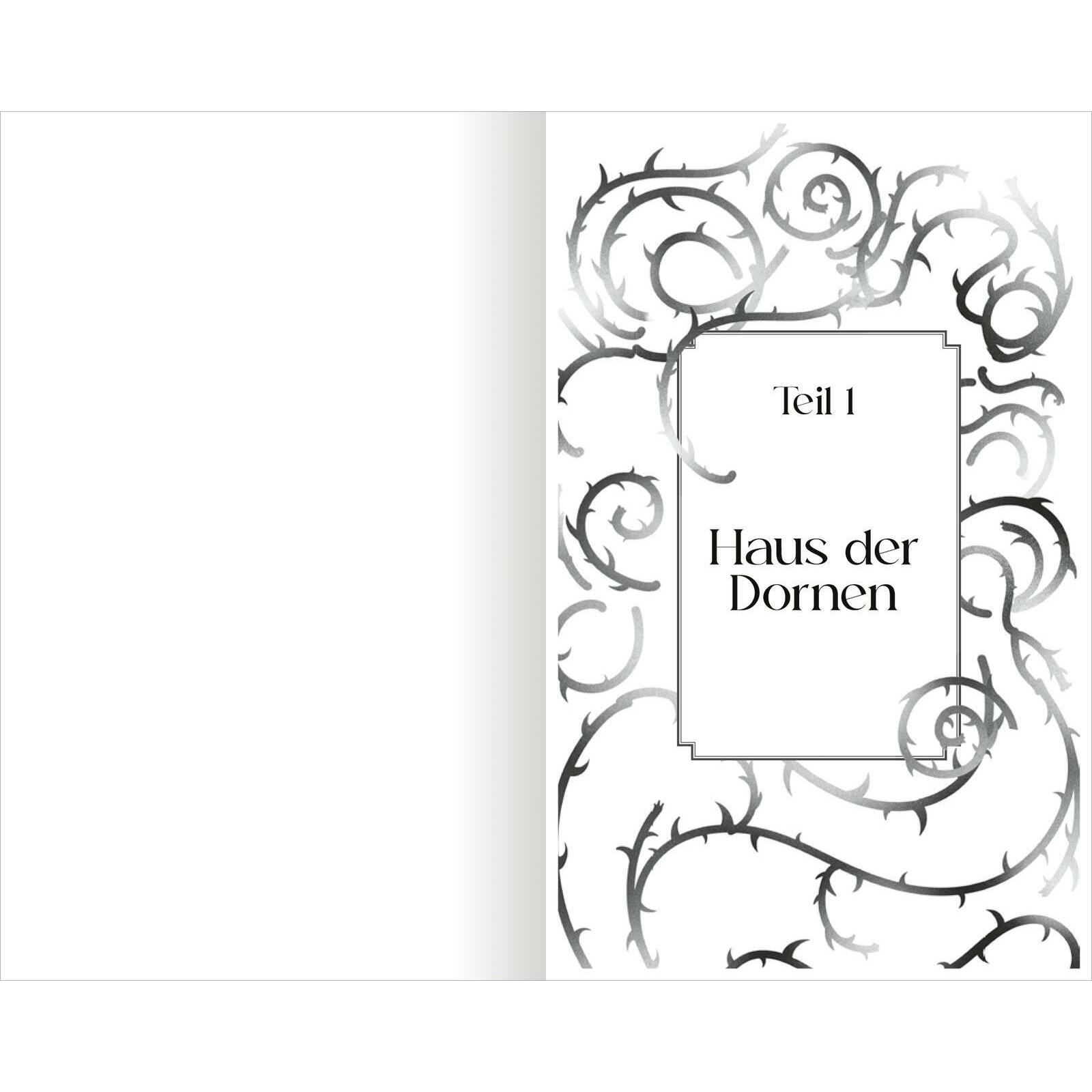 Thumbnail - The North Wind – Reich aus Eis und Schatten (The Four Winds 1), Belletristik von Alexandria Warwick