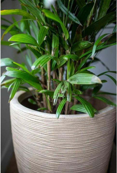 Produktbild Capi Wylder (34 x 46 cm)