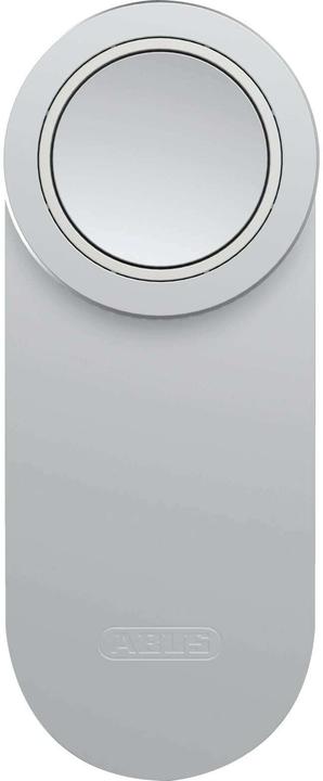 Silber