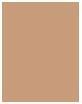 Image du produit Shiseido Sports BB Compact SPF50+ (Sports BB Compact Compact Moyen Foncé)