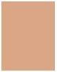 Produktbild Shiseido Waso Koshirice Tinted Spot (Golden Ginger)
