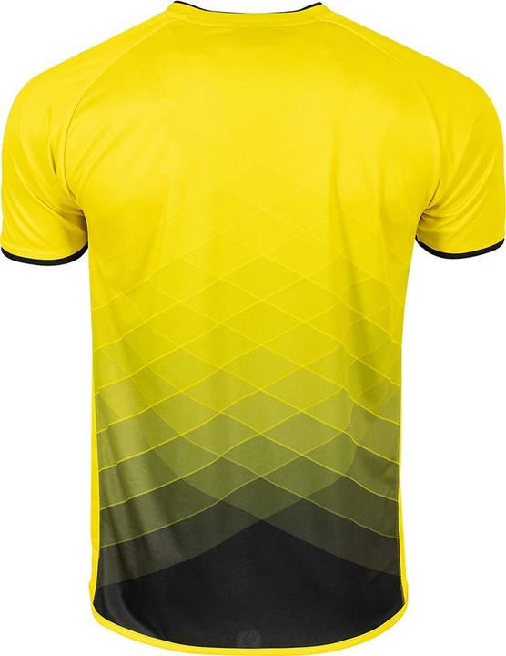 Image du produit Stanno Maillot Altius (176)