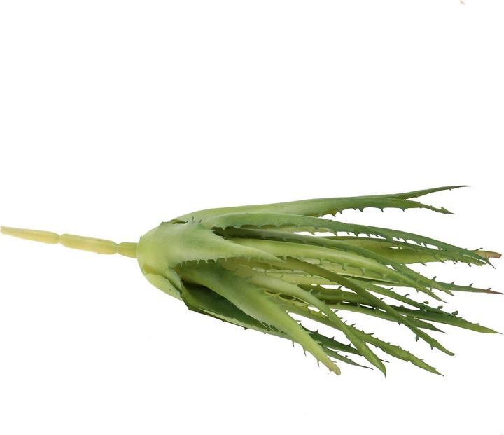 Viana Knstliche Aloe Vera Pflanze naturgetreue Dekoration 1 Stck