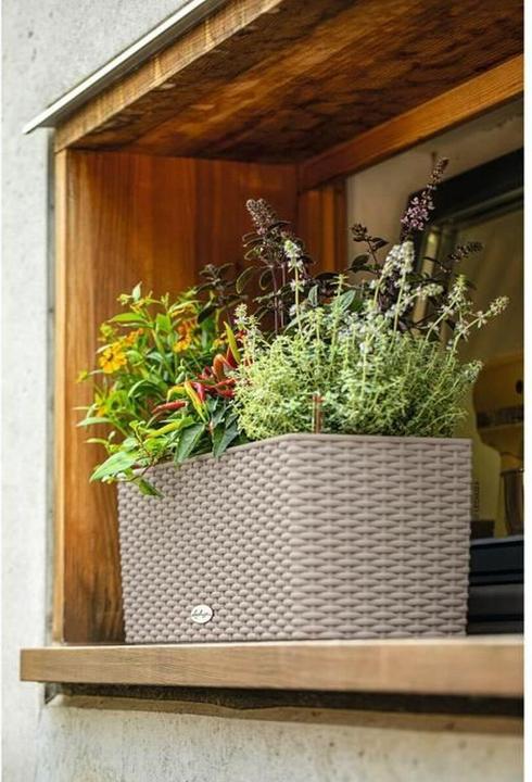 Actual product image Lechuza Flowerpot Balconera Cottage 50 (50 x 19 x 19 cm)