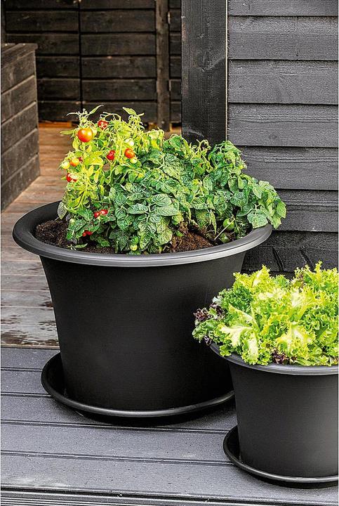 Immagine prodotto Orthex Sottobicchiere 'Botanica