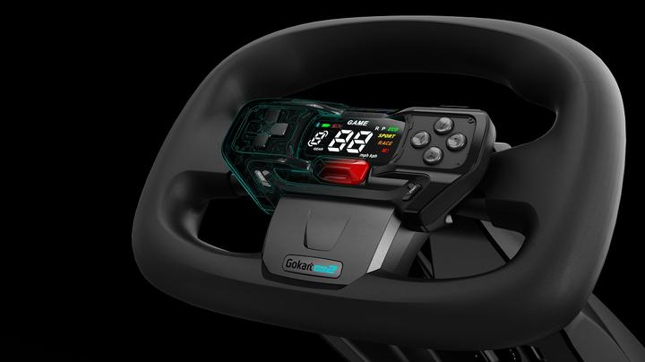 Actual product image Segway-Ninebot GoKart PRO 2