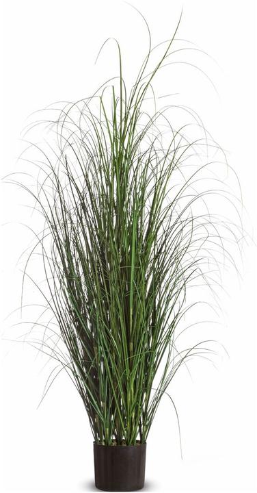Paperflow Grass (130 cm)