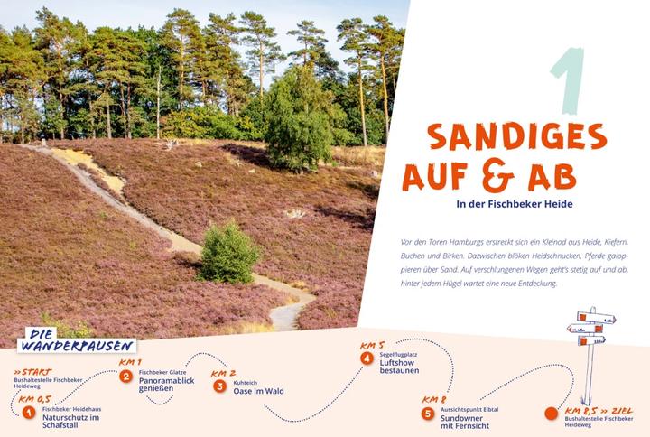 Produktbild Wanderzeit Wanderzeit in Rheingau & Taunus (Deutsch, Sandra Kathe, 2023)