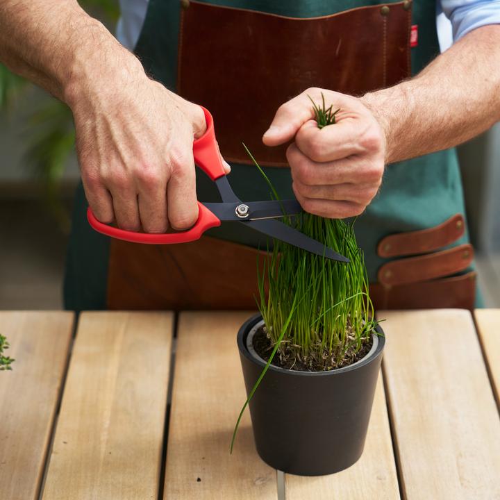 Actual product image Felco 455: Versatile professional scissors