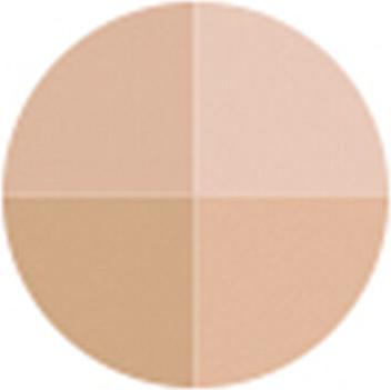 Actual product image Sensai Cellular Performance Pressed Powder (No colour)