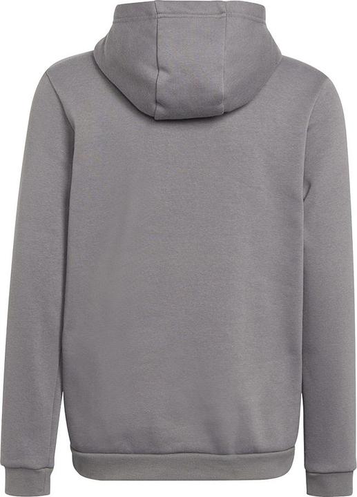 Actual product image adidas Entrada 22 hoodie kids (152)