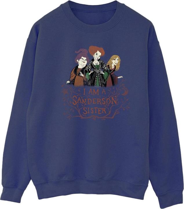 Produktbild Disney Hocus Pocus Sanderson Sister Sweatshirt (4XL)