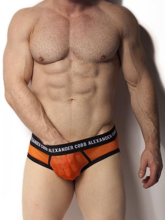 Produktbild Alexander Cobb Transparent Slip (XL)
