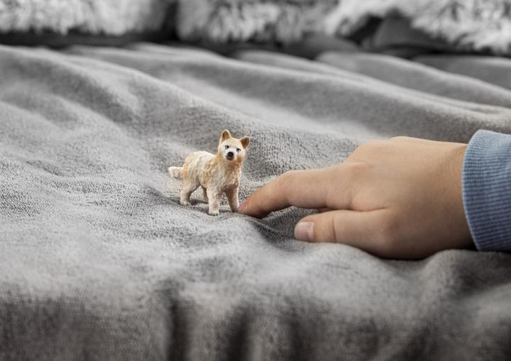 Image du produit Schleich Loup polaire chiot