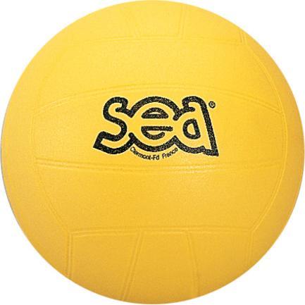 Produktbild SEA Einweihung Volleyball Sporti Frankreich (4)