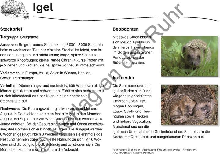Produktbild Feld- und Wiesentiere (Deutsch, Heike Jung, 2008)