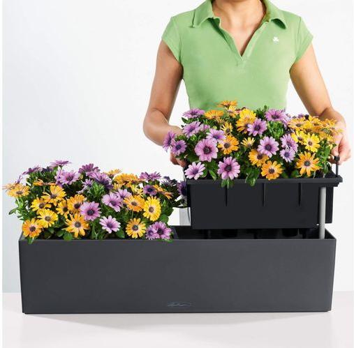 Productafbeelding Lechuza Balconera Kleur (79 x 19 x 19 cm)