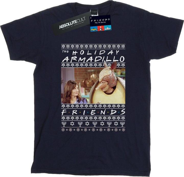 Actual product image Friends Womens/Ladies Fair Isle Holiday Armadillo Cotton Boyfriend T-Shirt (M)