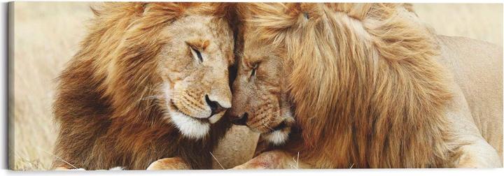 Produktbild Eibert Visual Bilder (40 x 118 cm)