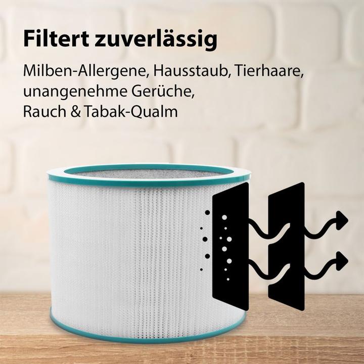 Actual product image Hermex Alternative HEPA filter for Dyson Pure air purifier filter 968101-04 (1 x)