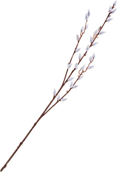 DPI Weidenkätzchen Zweig (66 cm)