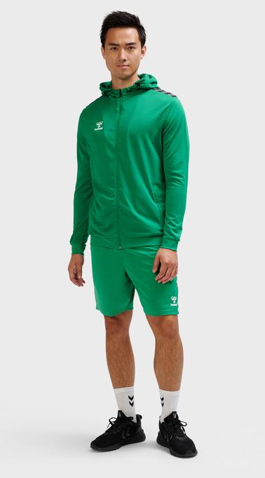 Actual product image hummel Hmlauthentic Pl Zip Hoodie (L)