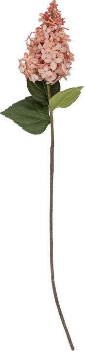 Produktbild Bloomingville Hydrangea (76 cm)