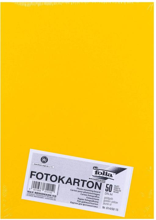 Produktbild Folia Fotokarton farbig Format A4 (300 g/m², 1x)
