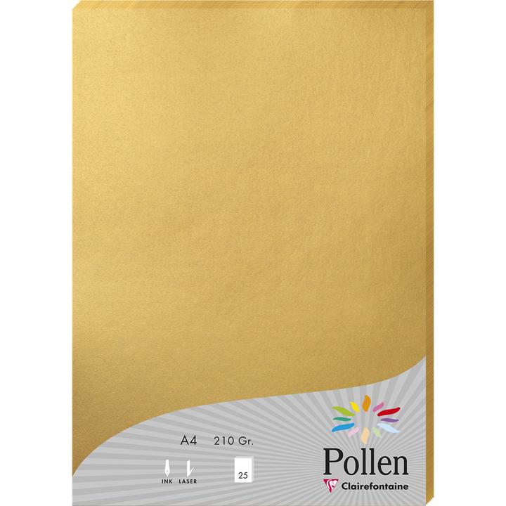 Produktbild Pollen Papier Packung (A4)