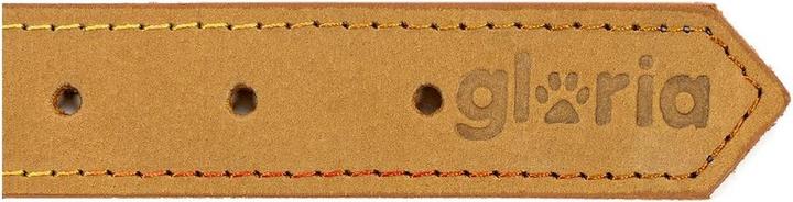 Image du produit Gloria Collier pour chien Oasis 50 cm Jaune (50 x 2,1 cm) (Nubuck)