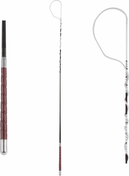 Produktbild Waldhausen Bogenpeitsche mit Ledergriff