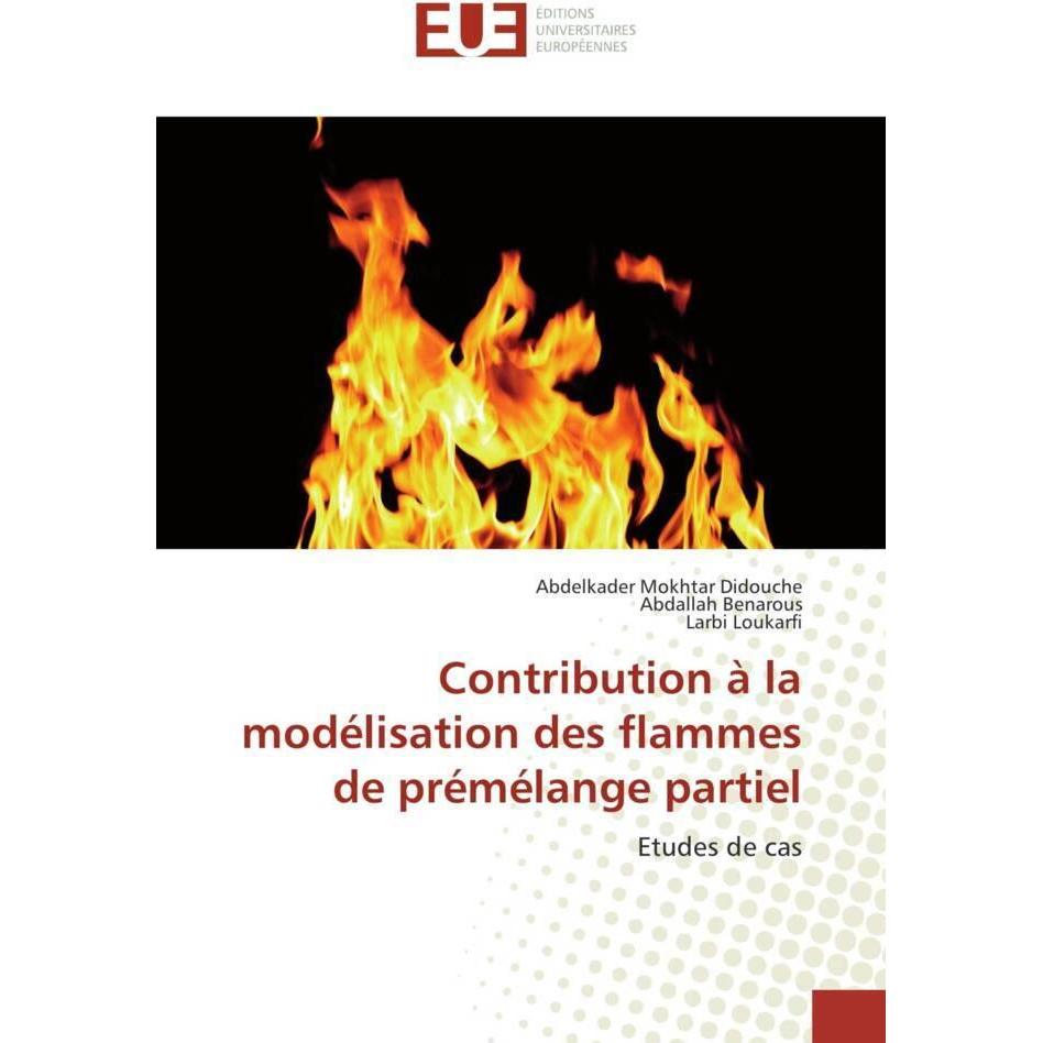 Contribution à la modélisation des flammes de prémélange partiel, Fachbücher von Abdelkader Mokhtar Didouche, Larbi Louk...