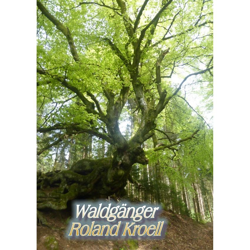 Waldgänge, Ratgeber von Roland Kroell