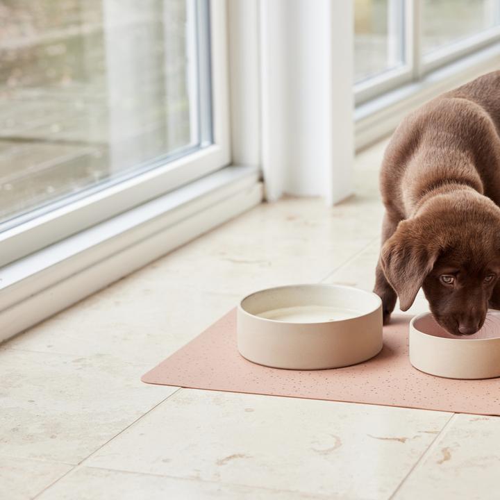 Immagine prodotto OYOY Zoo Sia (4.05 l)