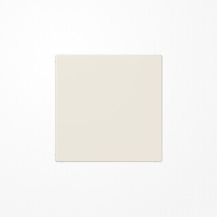 Actual product image JUNG Blanking plate ws