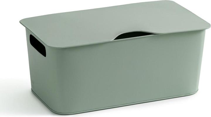 Actual product image AM.PM Arreglo (48 cm, 1x)